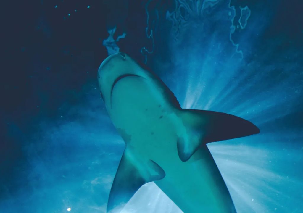 Praia Del Chifre, em Olinda, onde ocorreu ataque de tubarão que matou adolescente