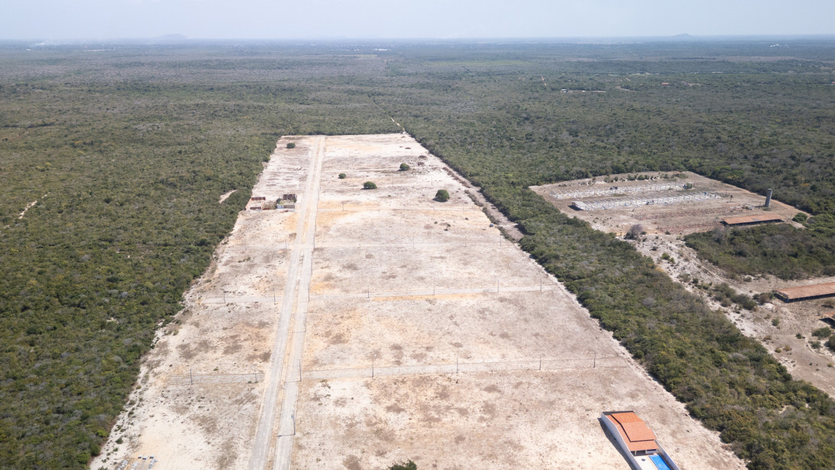 Área de vegetação de restinga desmatada no litoral do Ceará
