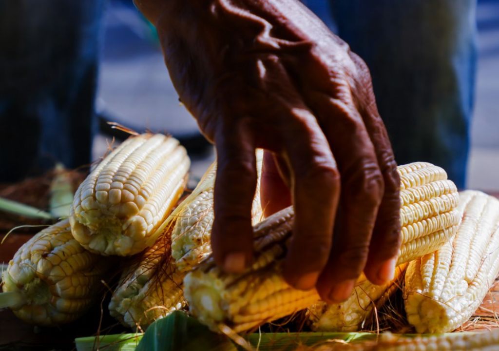 Gráfico de crescimento do PIB do Brasil mostrando expansão de 2,3% em 2025