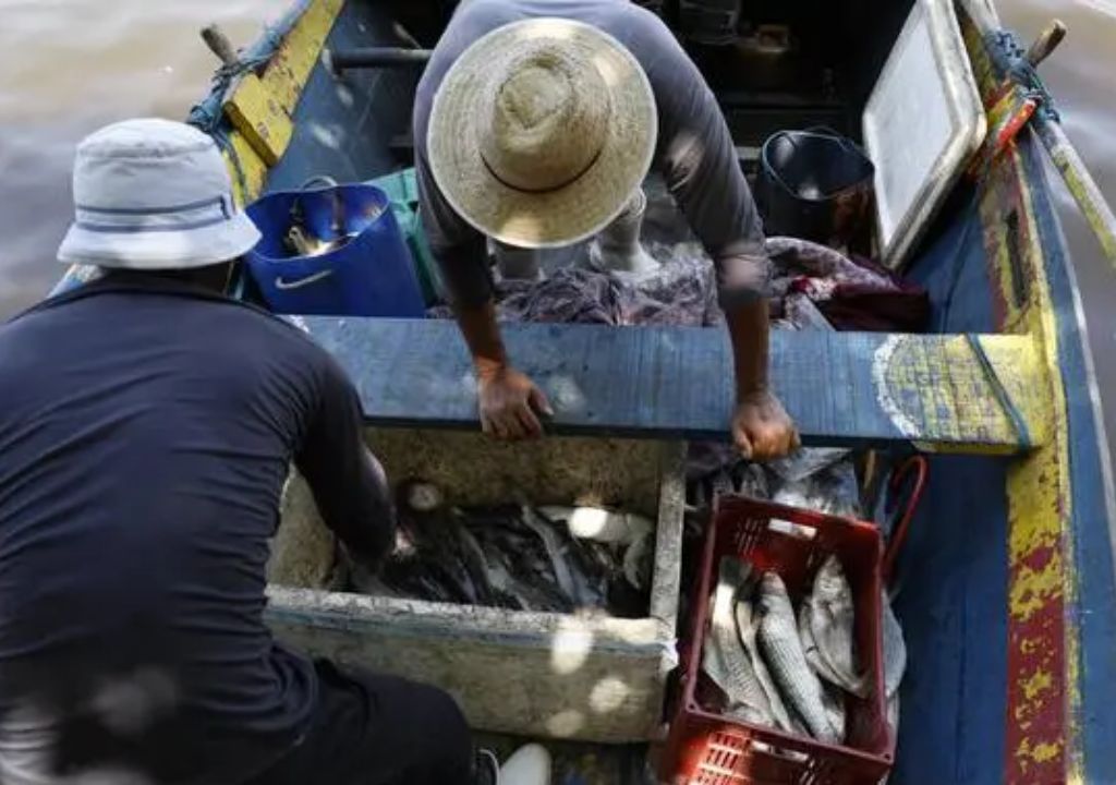 INSS inicia pagamento do Seguro-Defeso para pescadores artesanais a partir de 7 de julho.